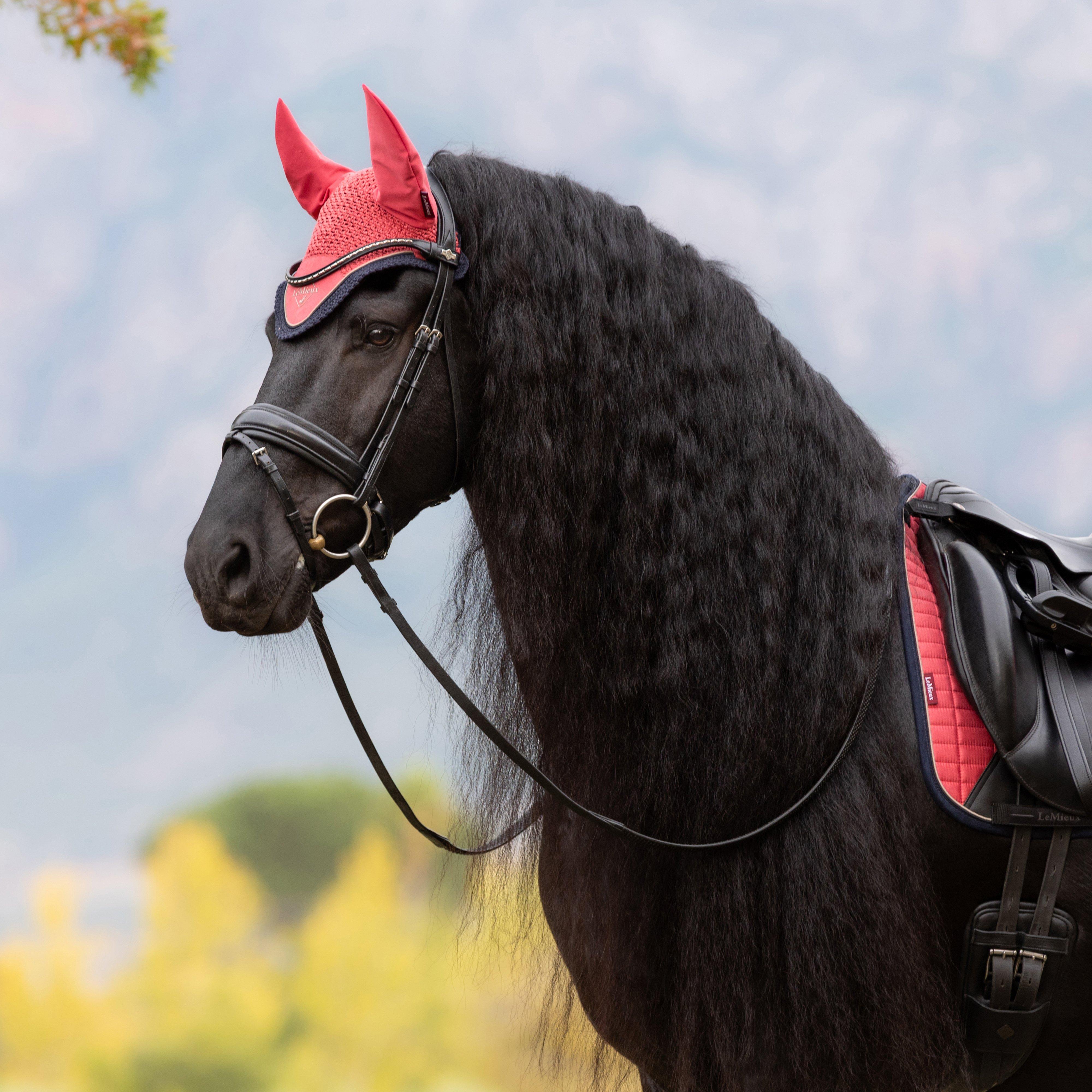 Classic Fly Hood Cranberry