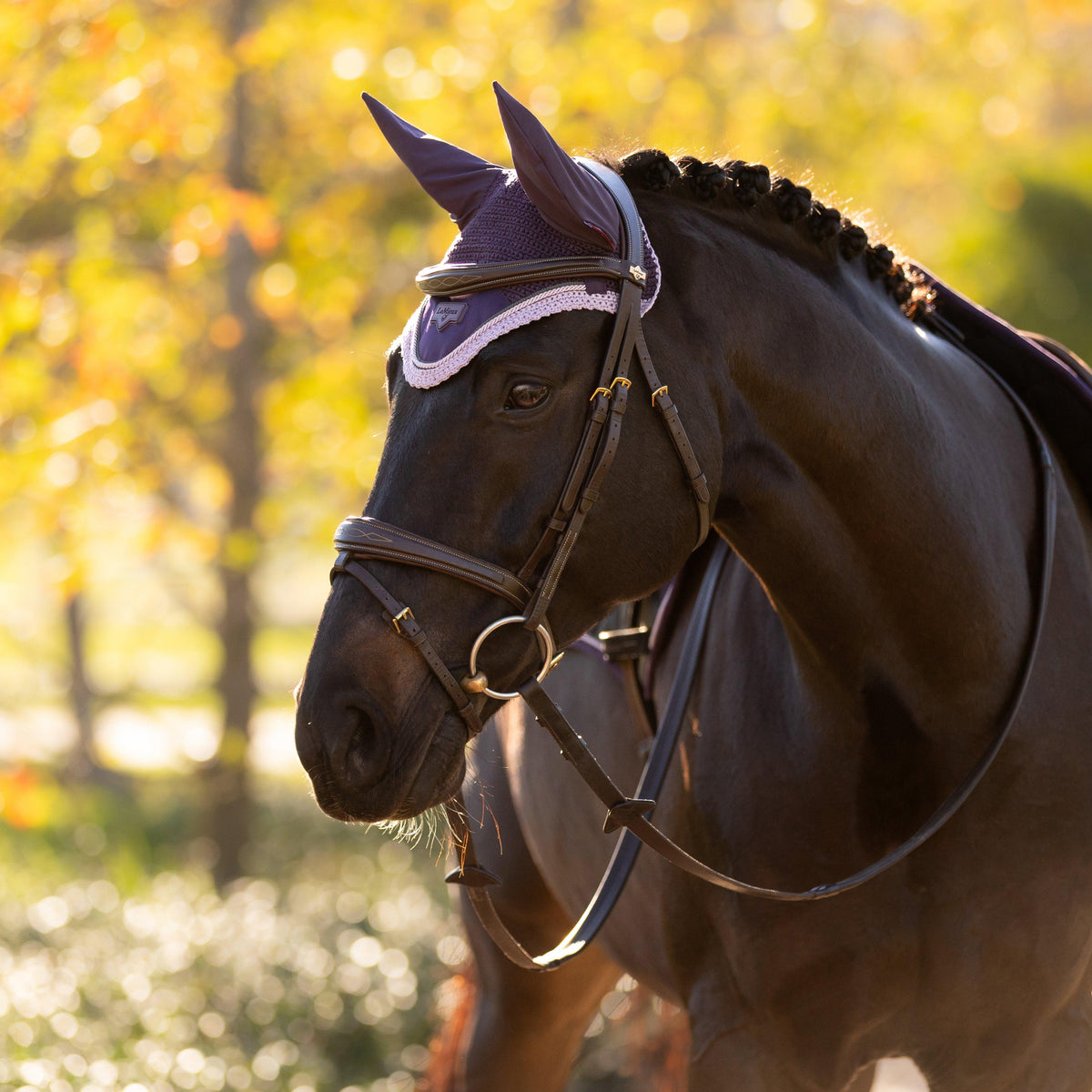 Loire Fly Hood Juniper
