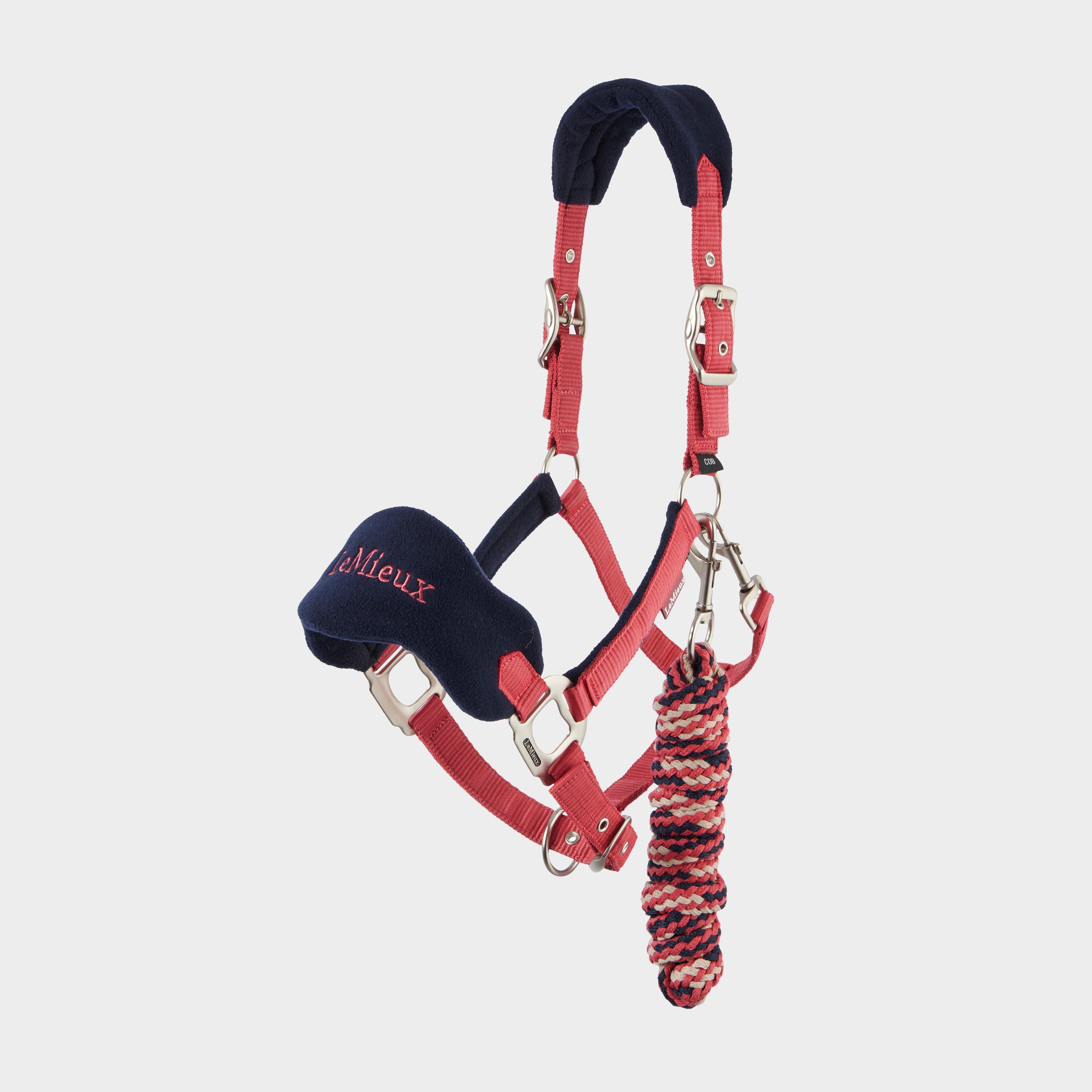 Vogue Headcollar & Leadrope Cranberry