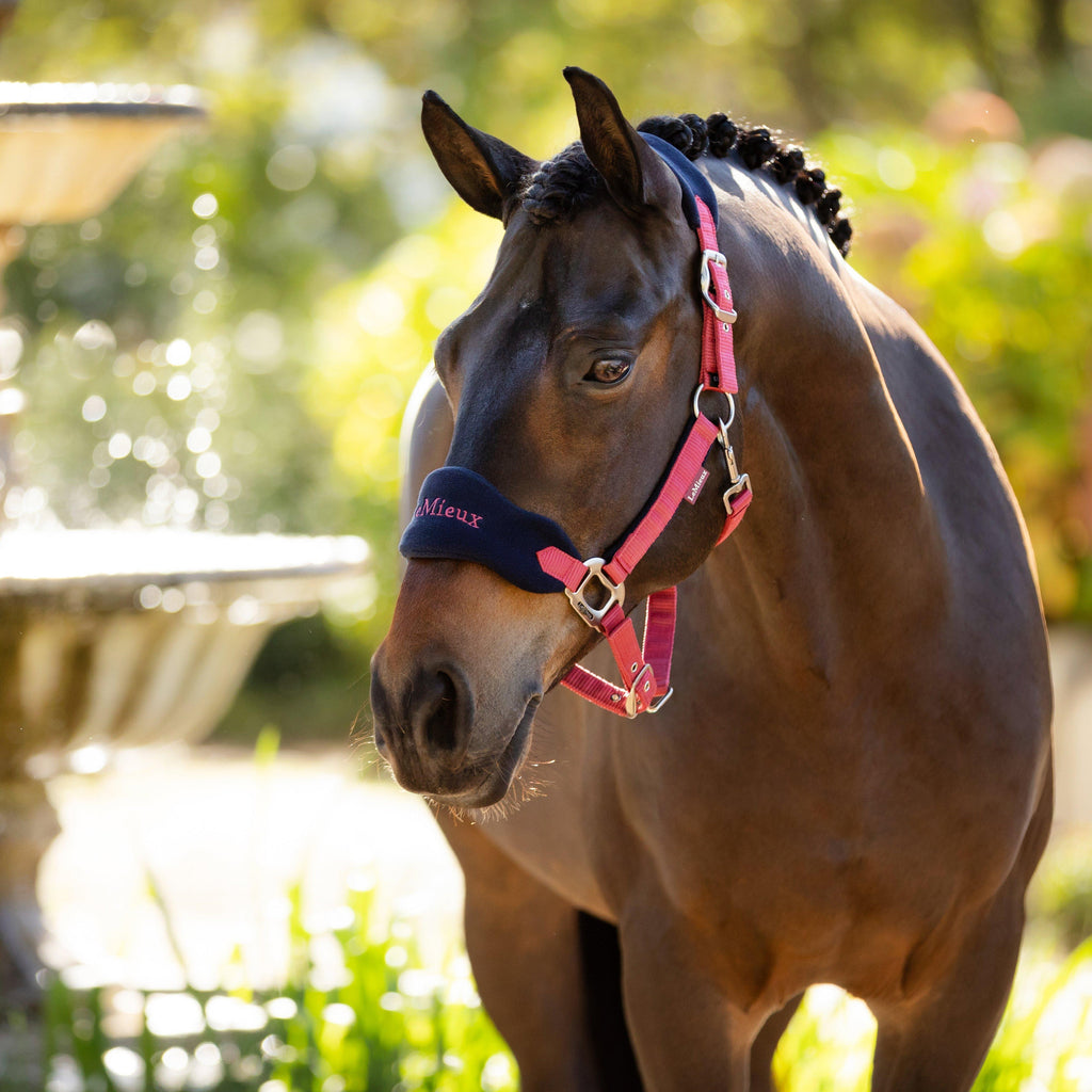 Vogue Headcollar & Leadrope Cranberry