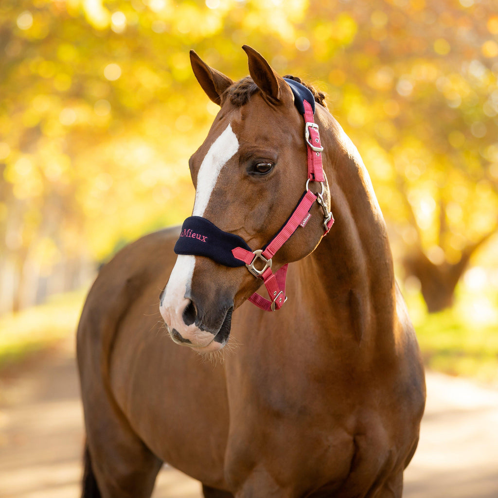 Vogue Headcollar & Leadrope Cranberry
