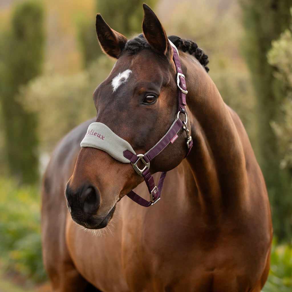 Vogue Headcollar & Leadrope Juniper