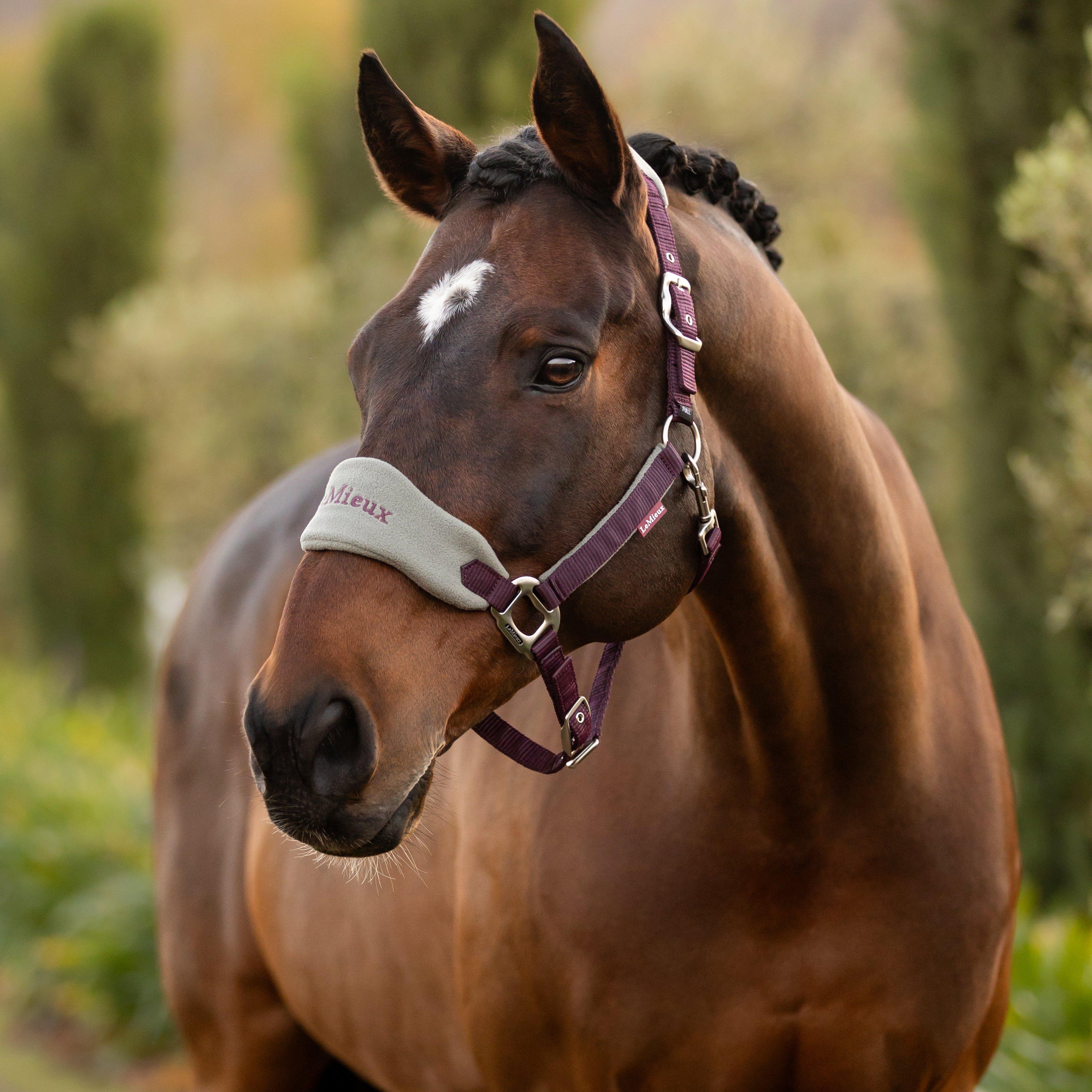 Vogue Headcollar & Leadrope Juniper
