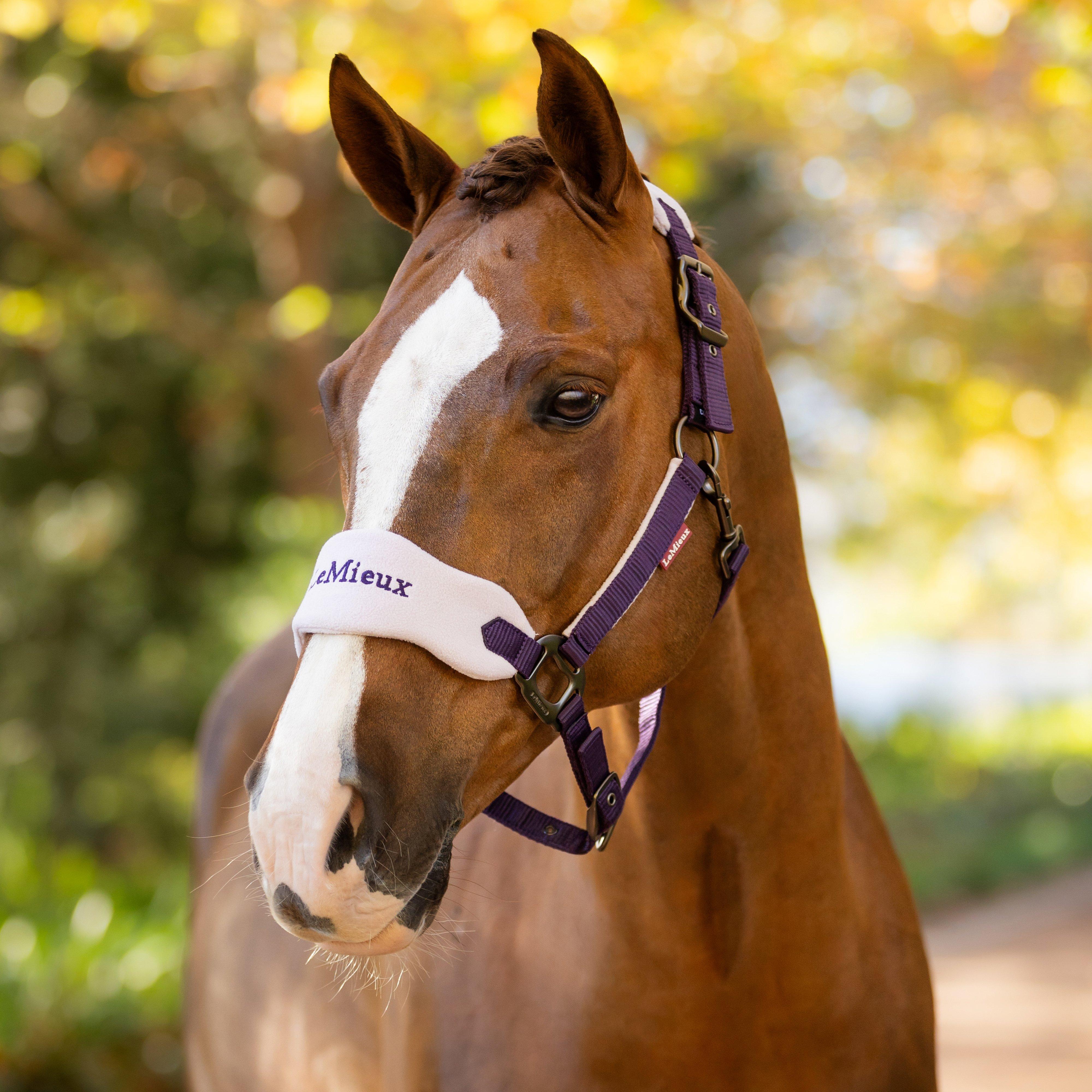 Vogue Headcollar & Leadrope Damson