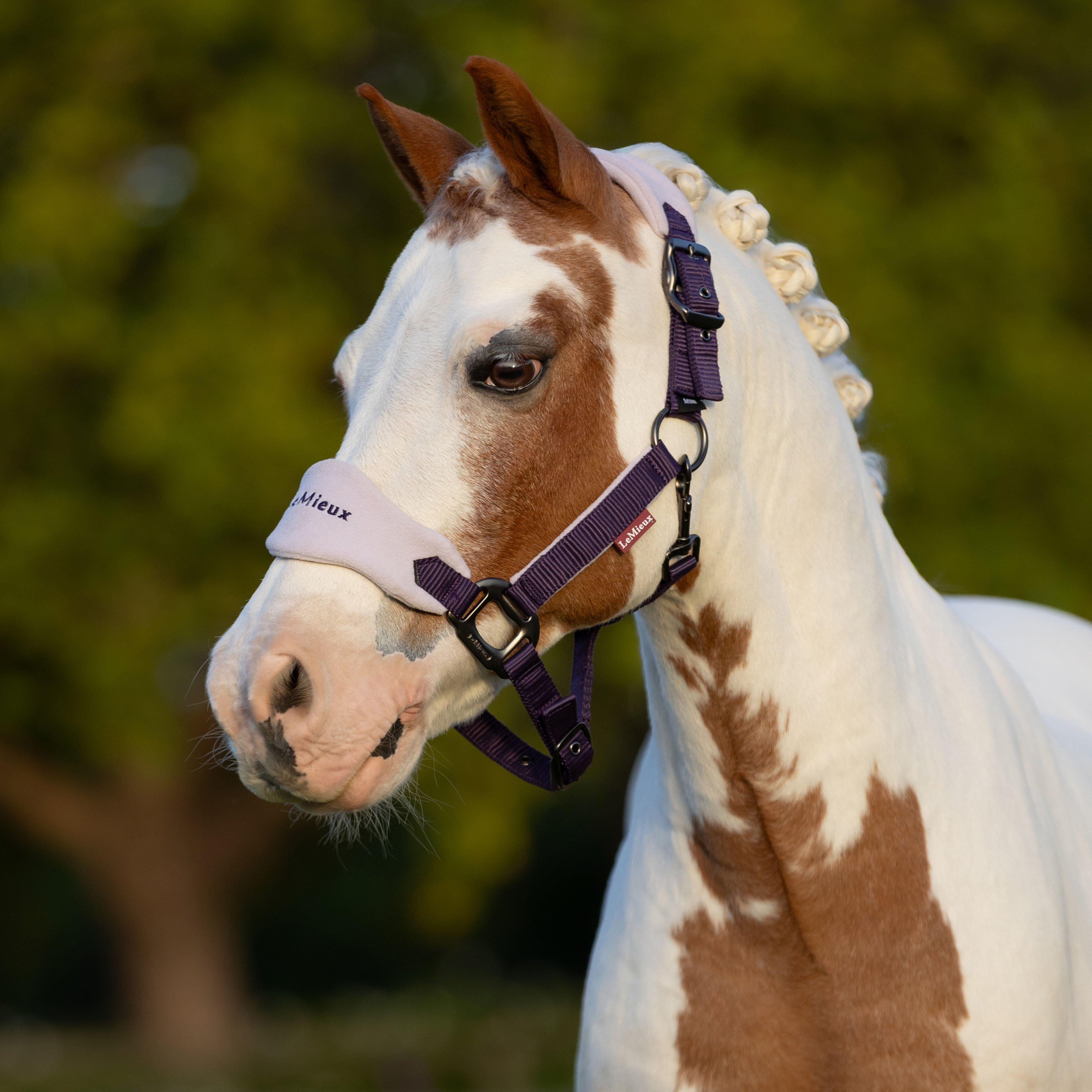 Mini Vogue Headcollar and Leadrope Juniper