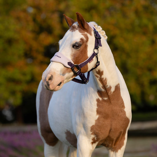 Mini Vogue Headcollar and Leadrope Juniper