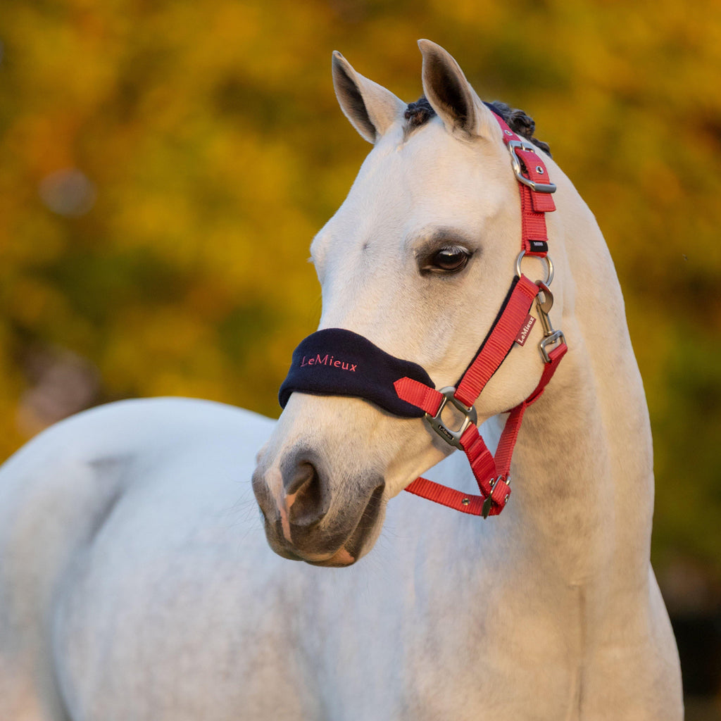 Mini Vogue Headcollar and Leadrope Cranberry