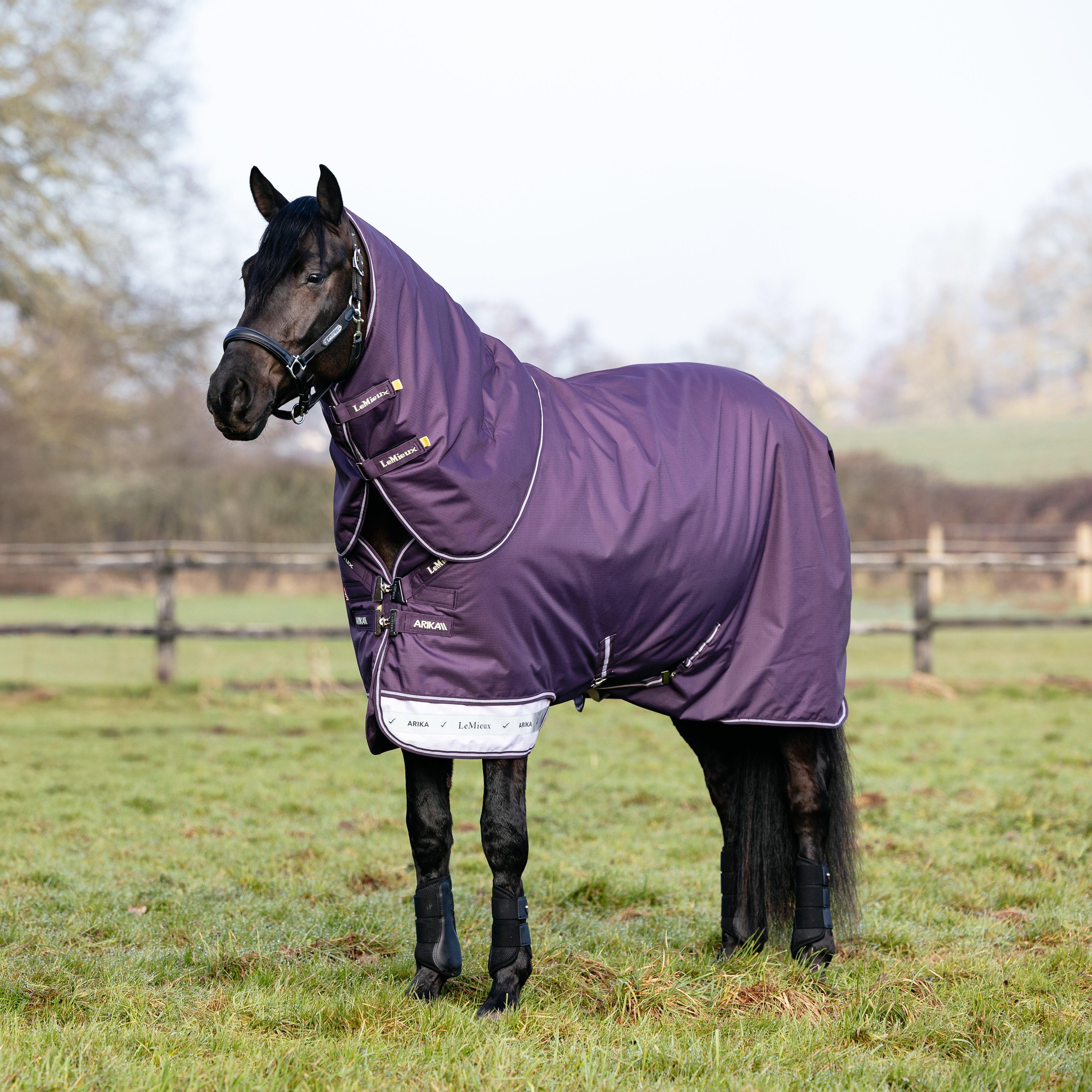 Arika Ripstop Turnout Rug 100g Juniper