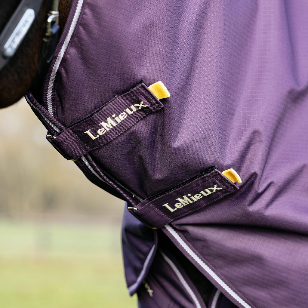 Arika Ripstop Turnout Rug 100g Juniper