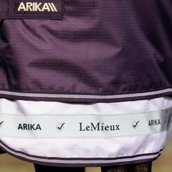 Arika Ripstop Turnout Rug 100g Juniper