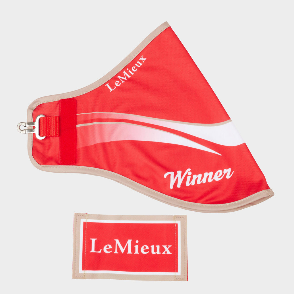 Hobby Horse Winners Rug Red