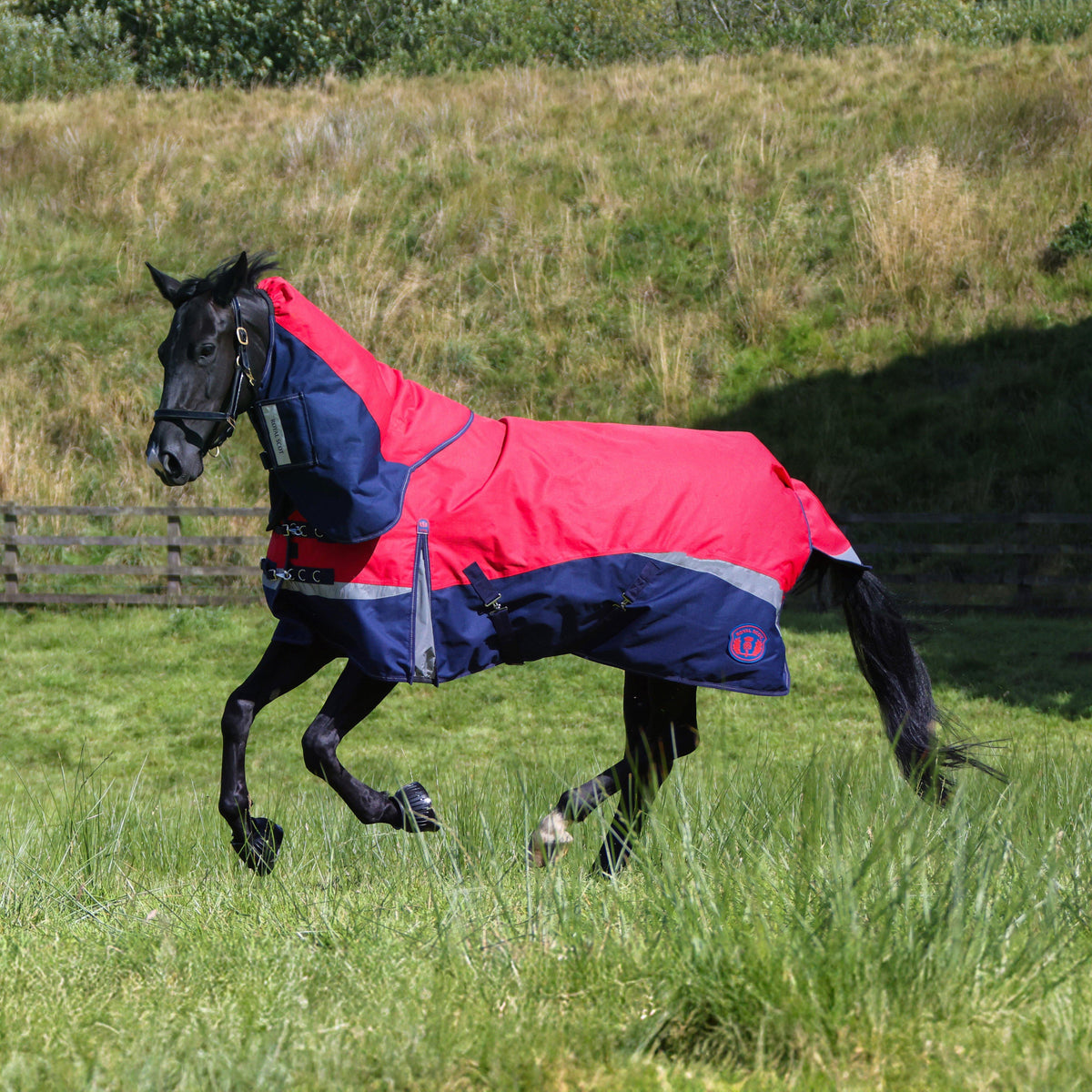 Pro 100g Turnout Rug Red/Navy