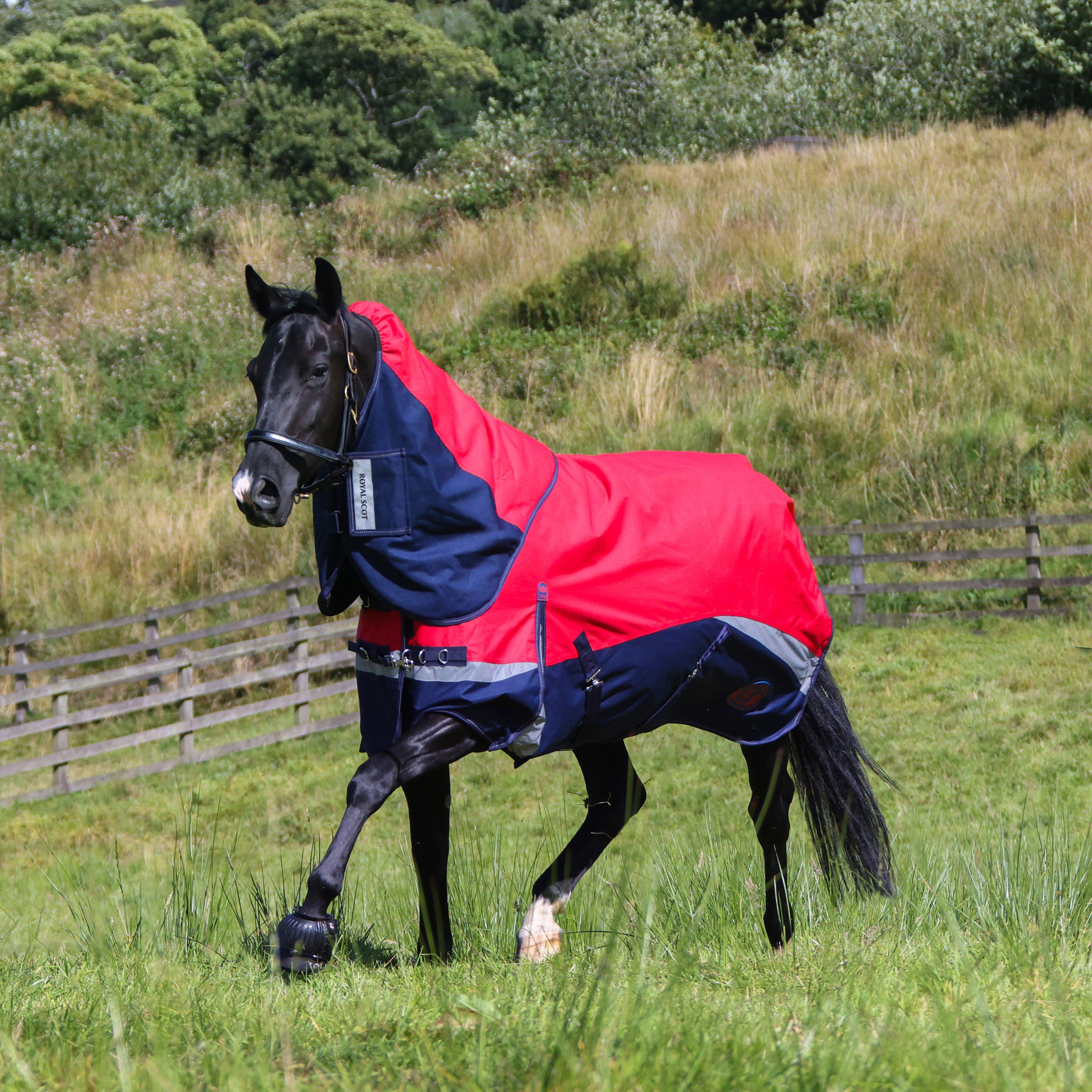 Pro 100g Turnout Rug Red/Navy