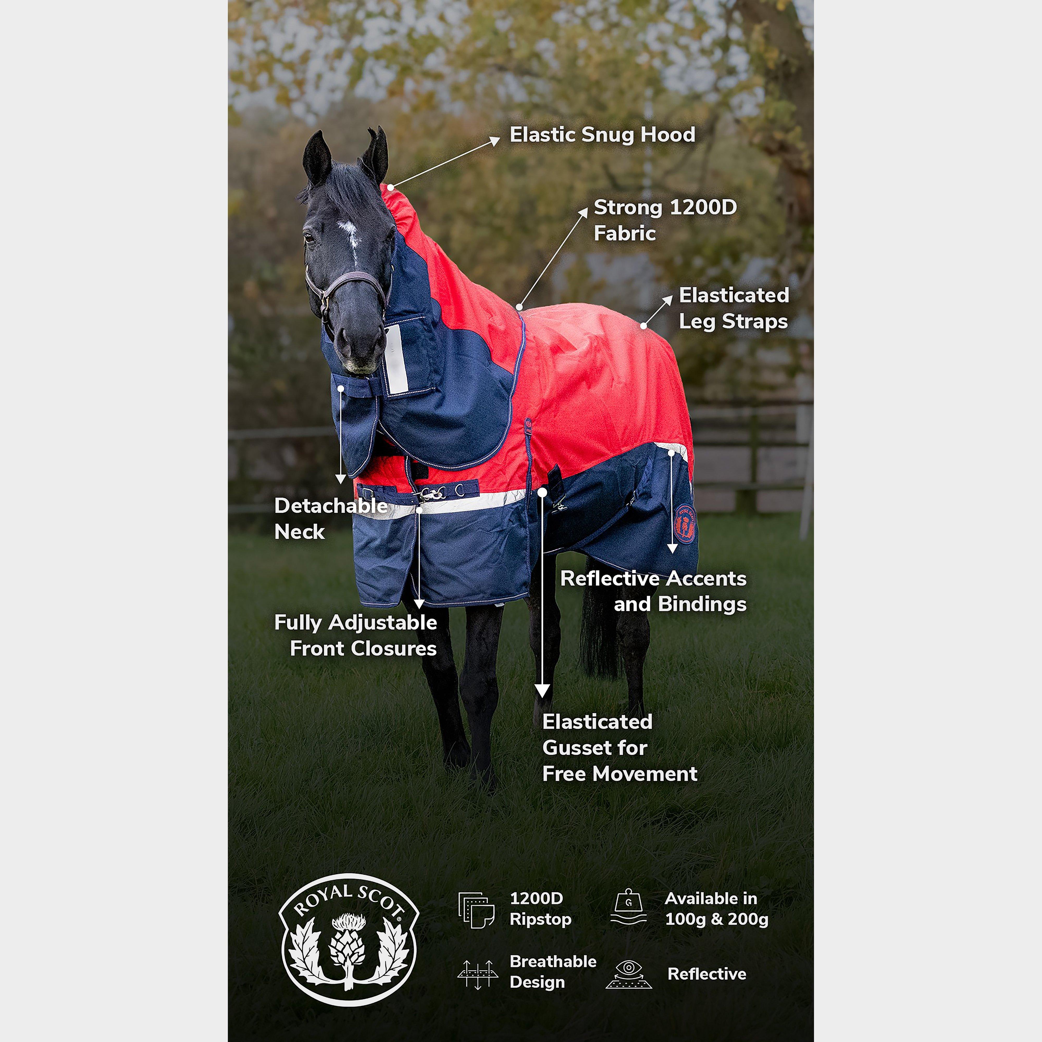 Pro 100g Turnout Rug Red/Navy