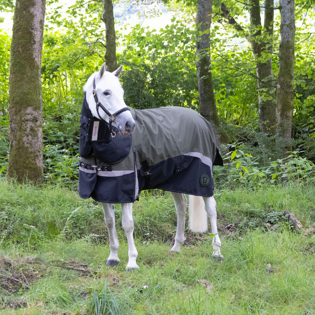 Pro 200g Turnout Rug Olive/Black