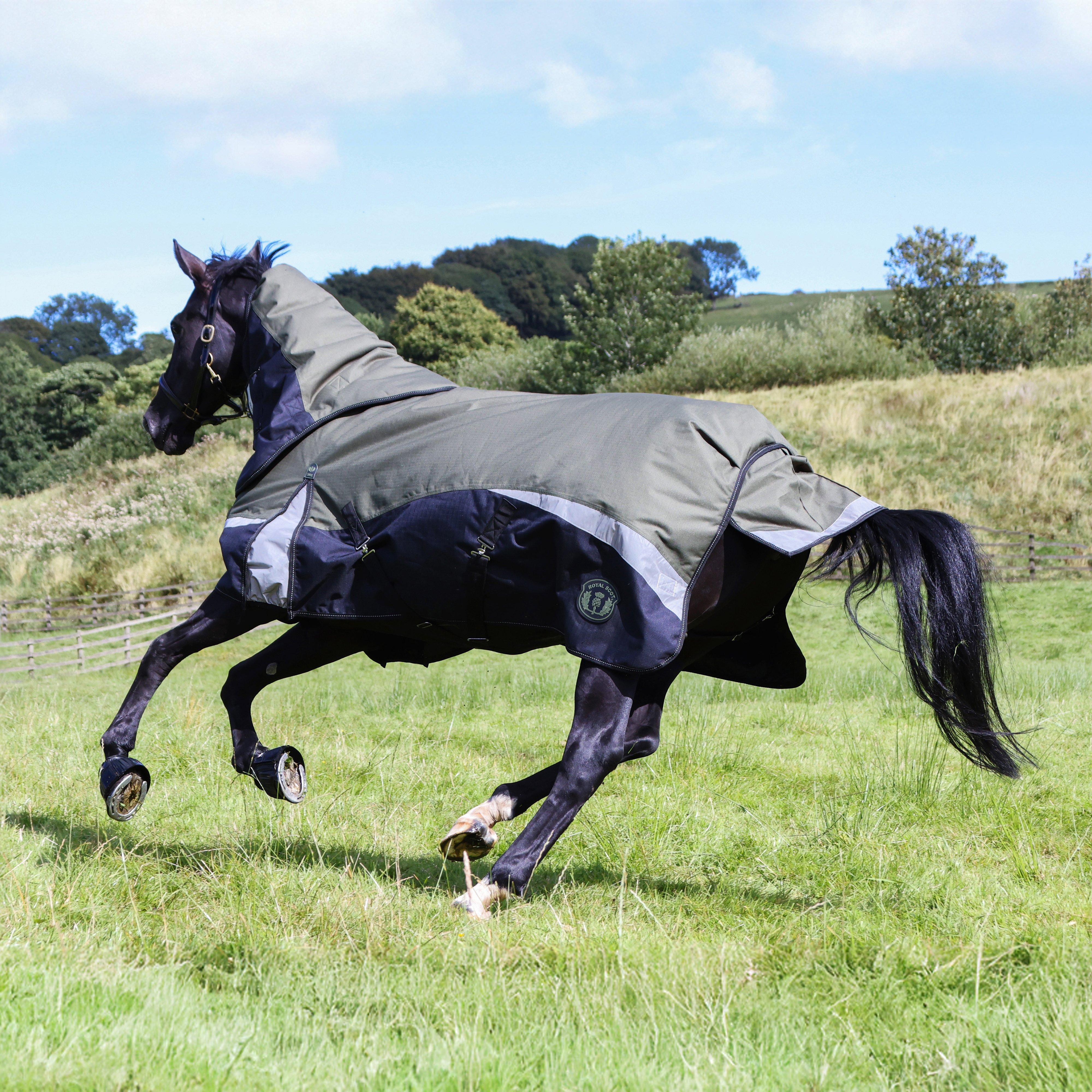 Pro 200g Turnout Rug Olive/Black