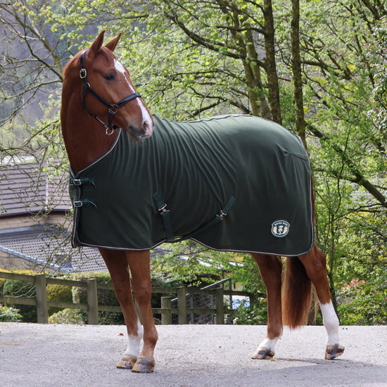Original Fleece Standard Neck Rug Olive