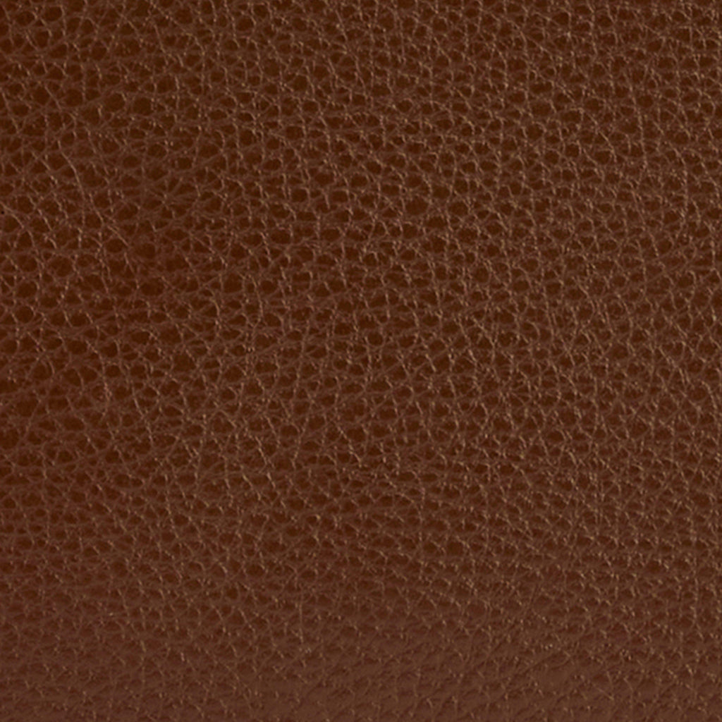 Women's Daphne Leather Crossbody Bag Brown