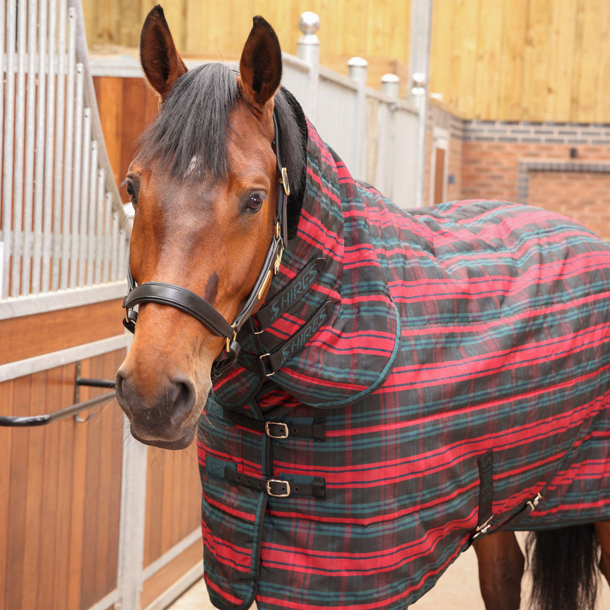 Tempest Plus 200 Stable Combo Rug Red Tartan