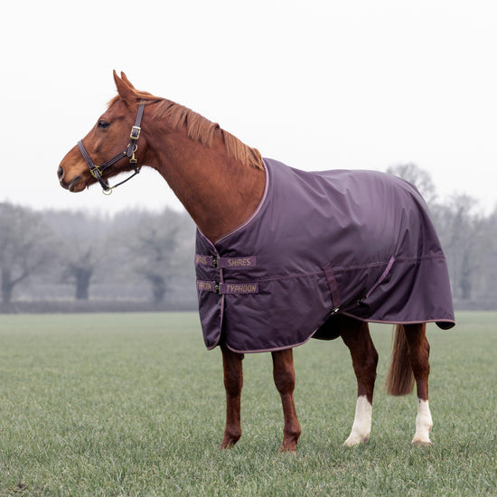 Typhoon 100g Standard Neck Turnout Rug Black Cherry