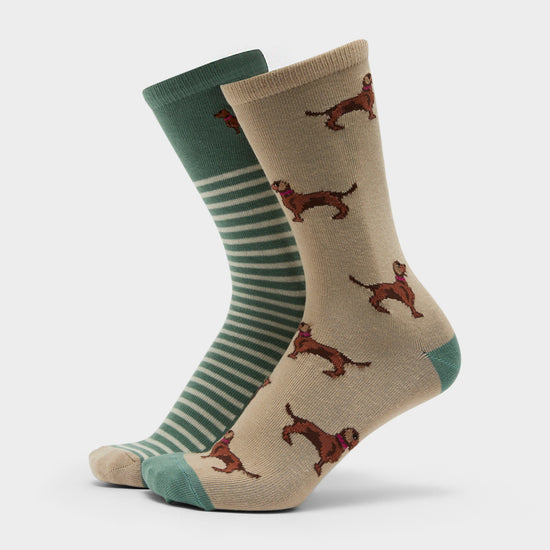 Women's Everyday 2 Pack Sock