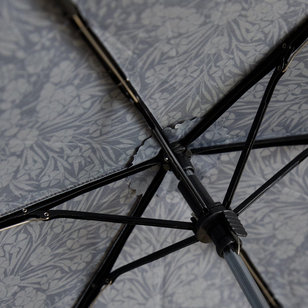 Rayne Umbrella