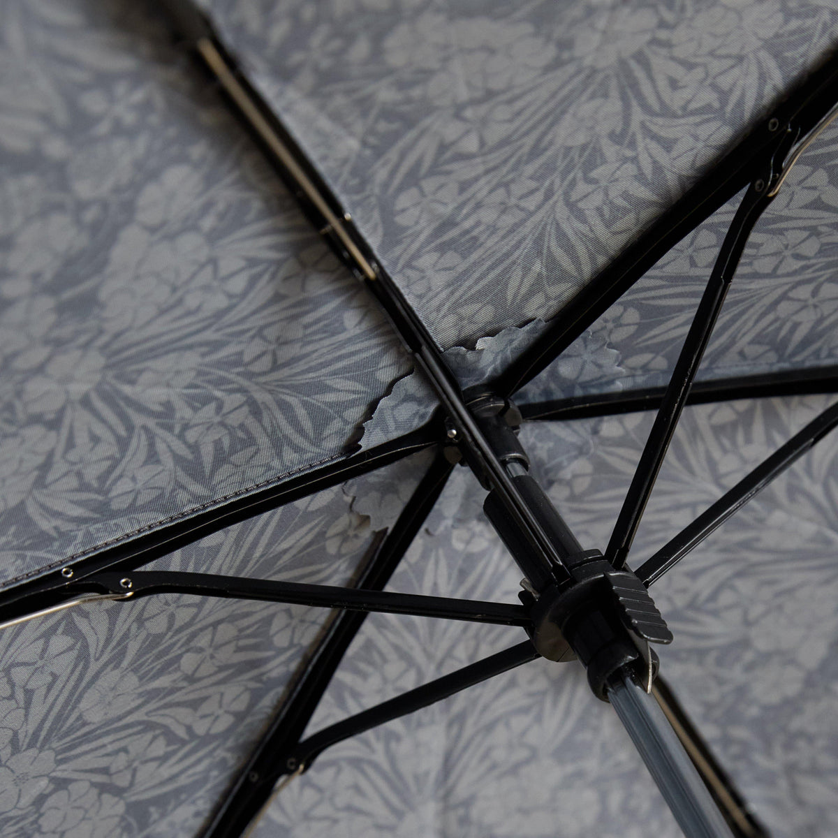 Rayne Umbrella