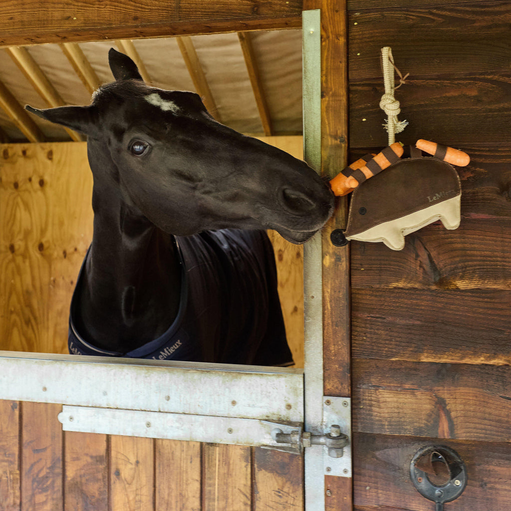 Stable Toy Hedgehog