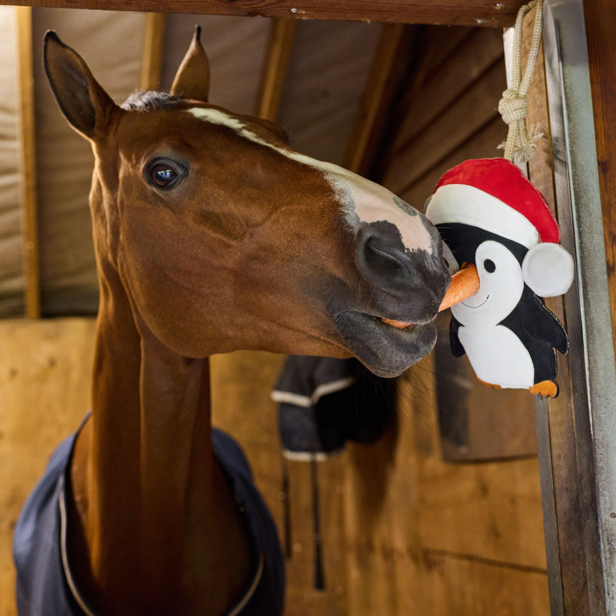 Stable Toy Penguin