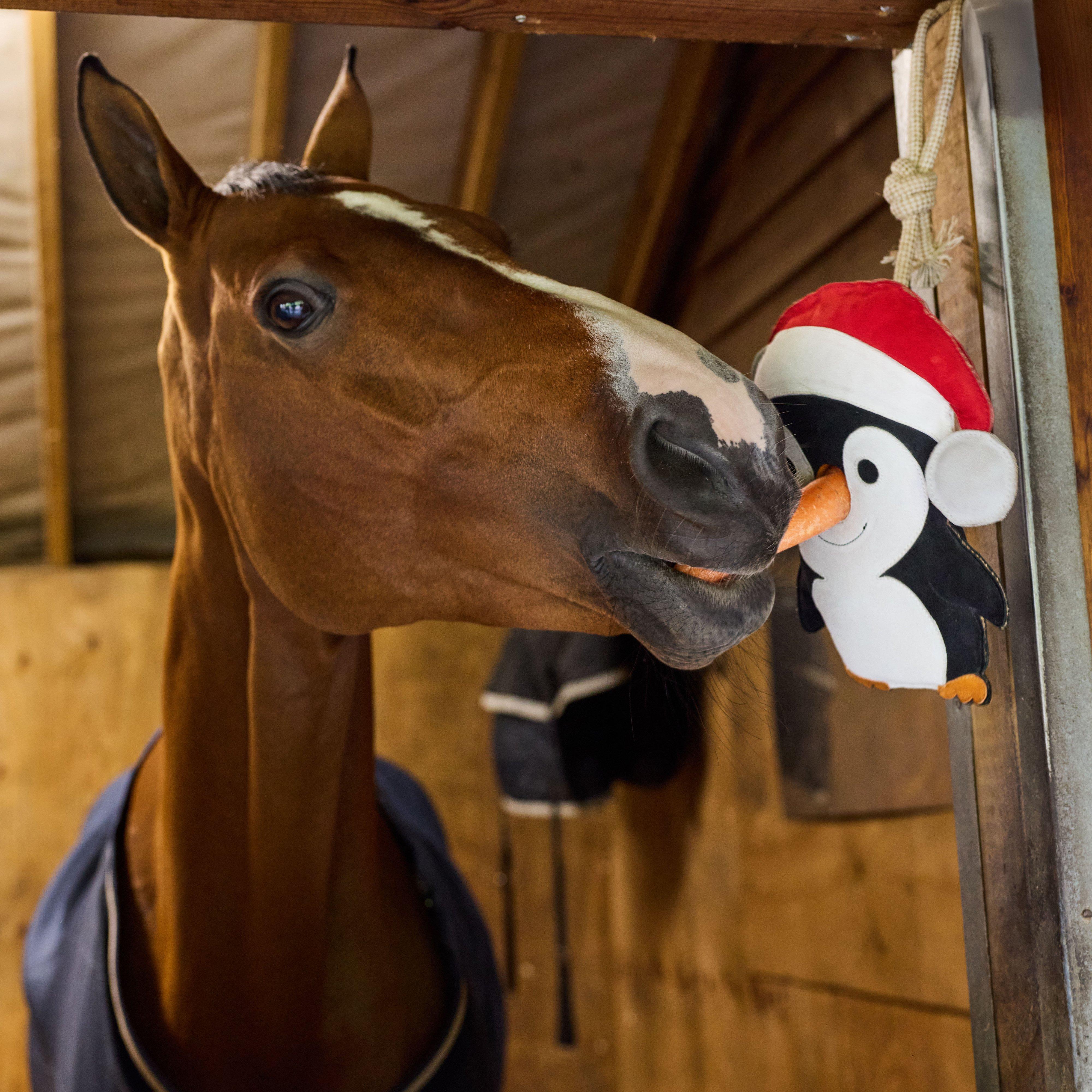 Stable Toy Penguin