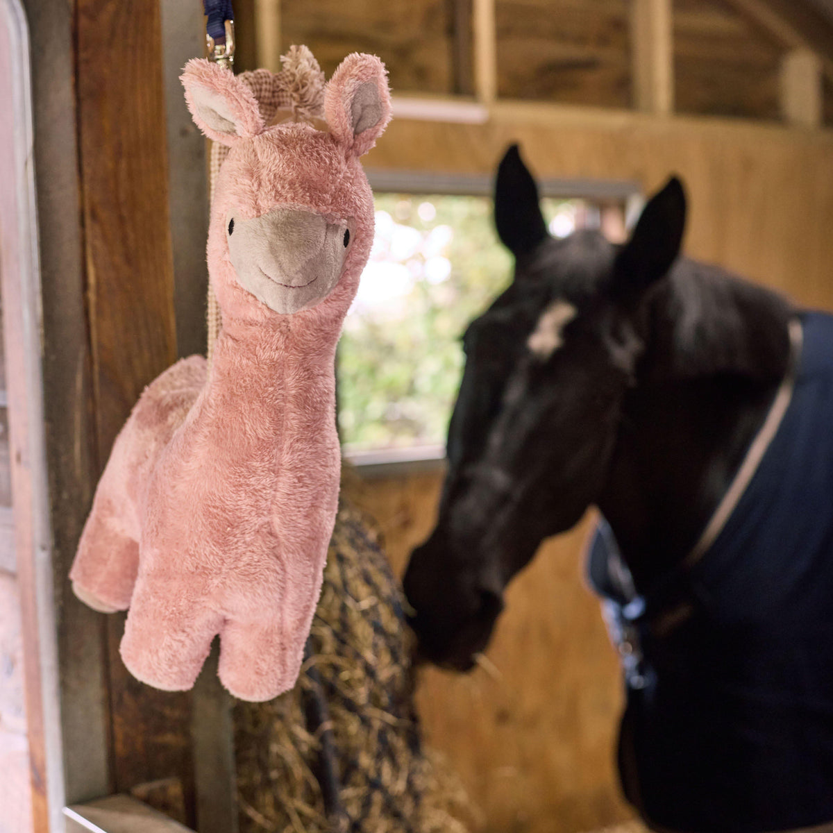 Stable Toy Llama