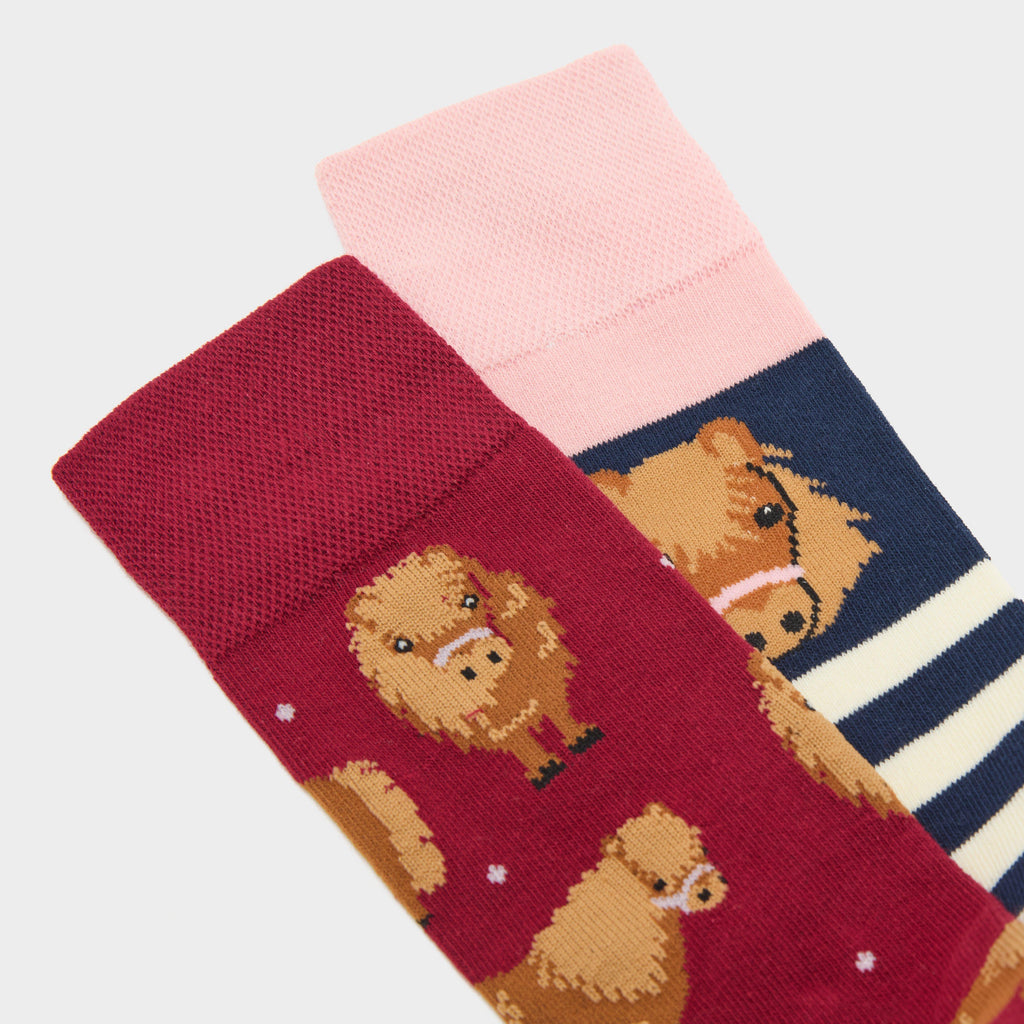 Women's Knee-High Equestrian Socks 2 Pack Pony