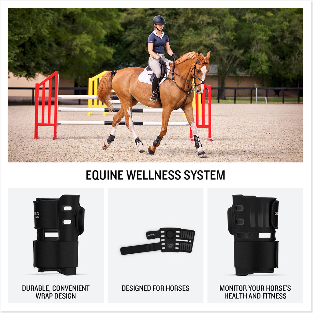Blaze™ Equine Wellness System
