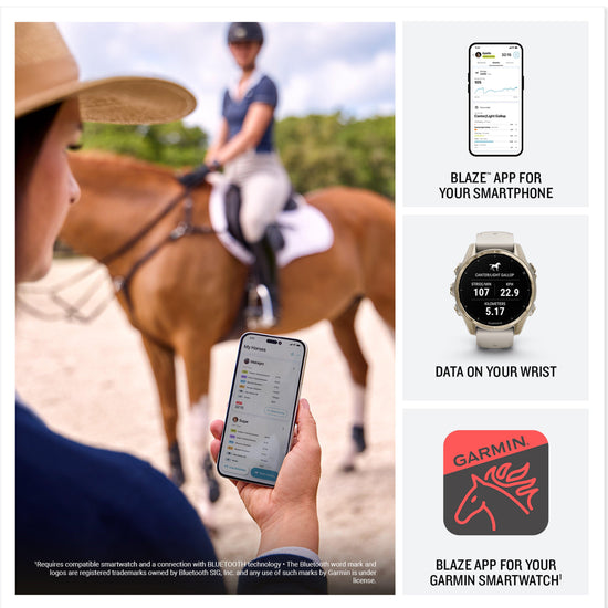 Blaze™ Equine Wellness System