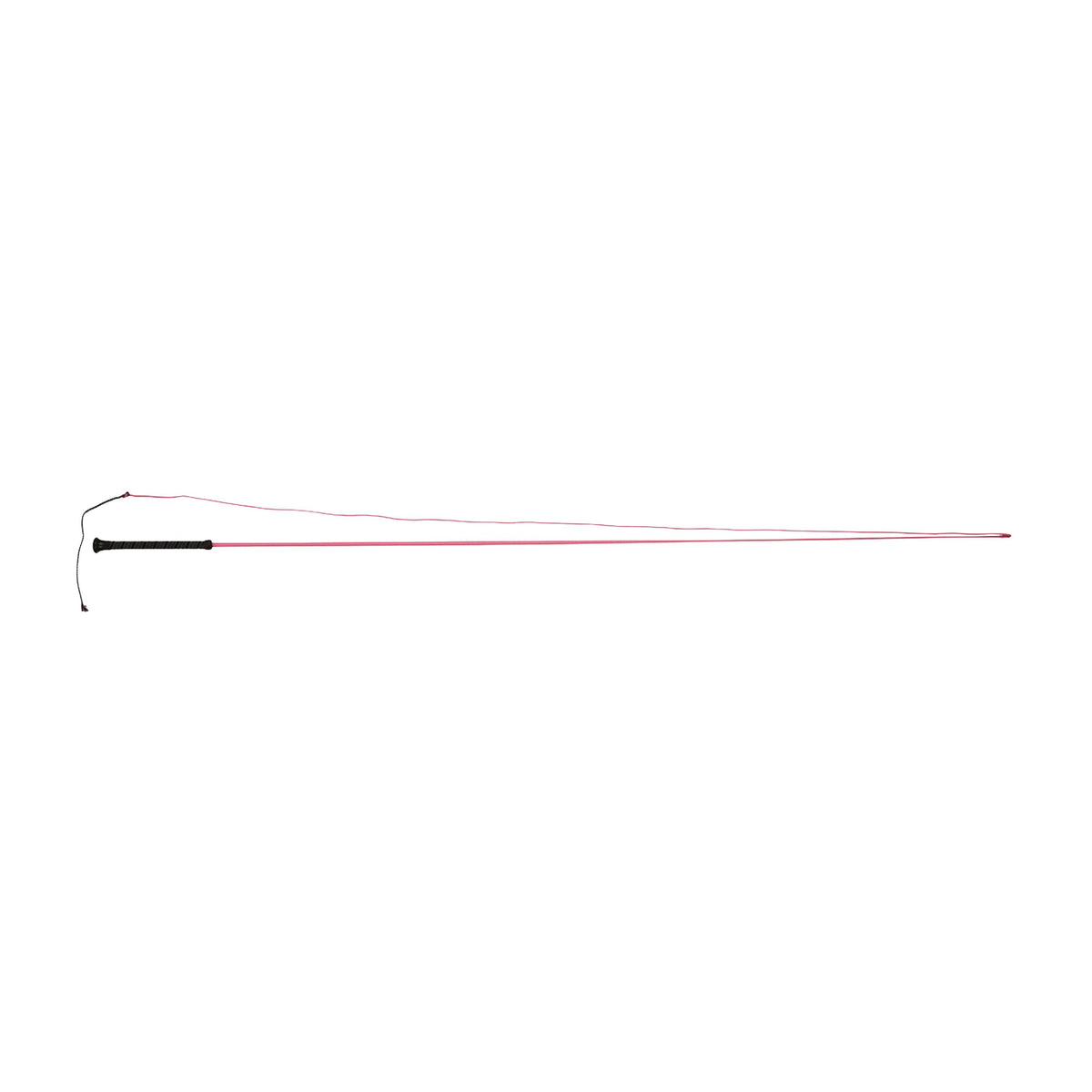 Brights Lunge Whip Pink