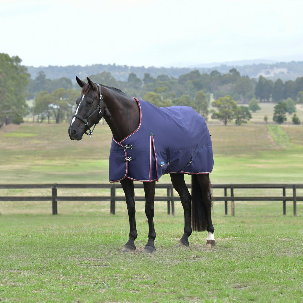 ComFiTec Essential 0G Standard Neck Turnout Rug Navy
