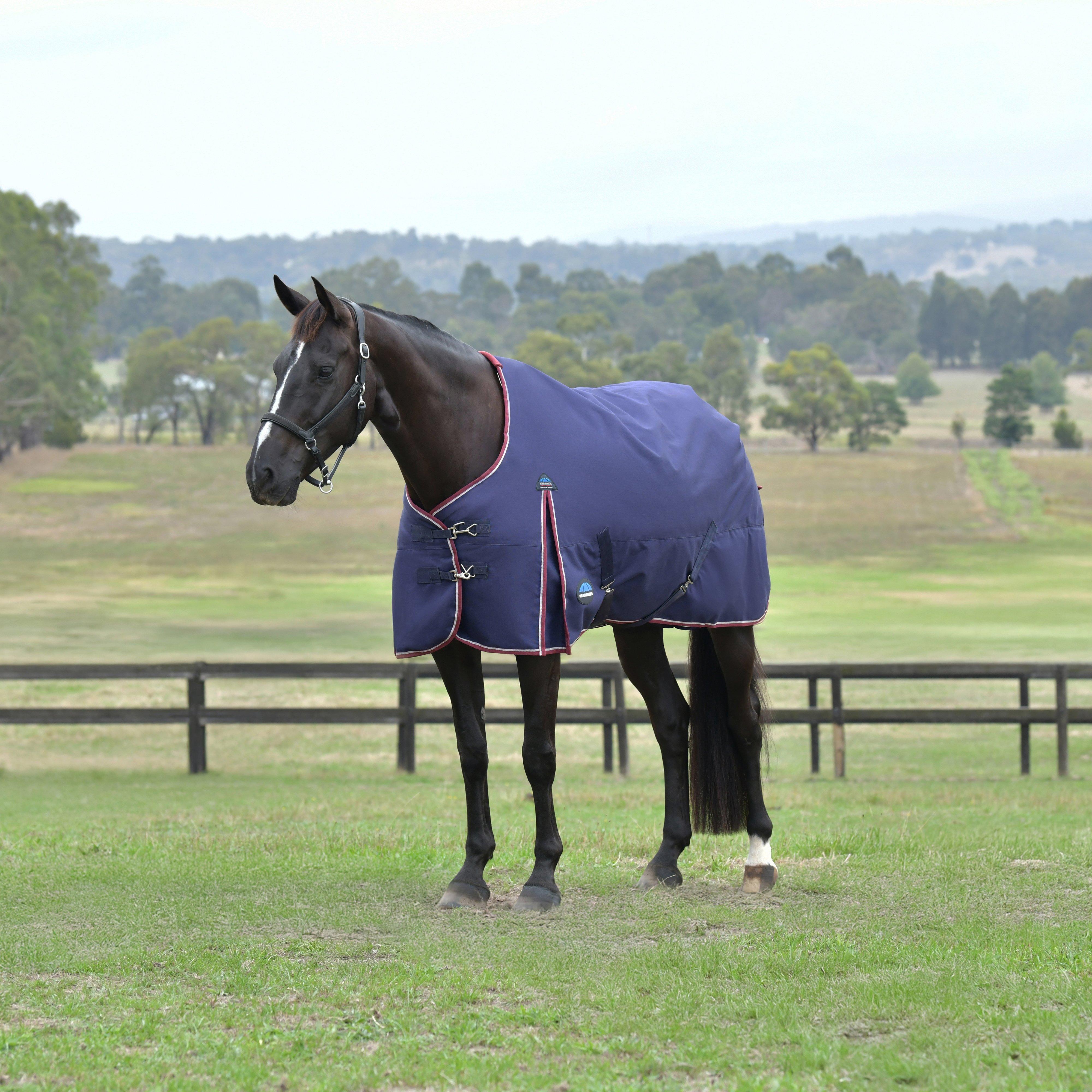 ComFiTec Essential 0G Standard Neck Turnout Rug Navy