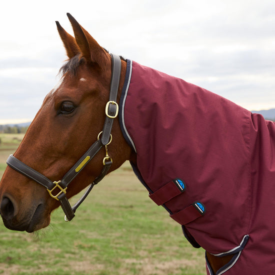 ComFiTec Prelim 0G Combo Neck Turnout Rug Burgundy