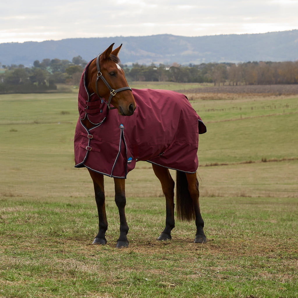 ComFiTec Prelim 0G Combo Neck Turnout Rug Burgundy