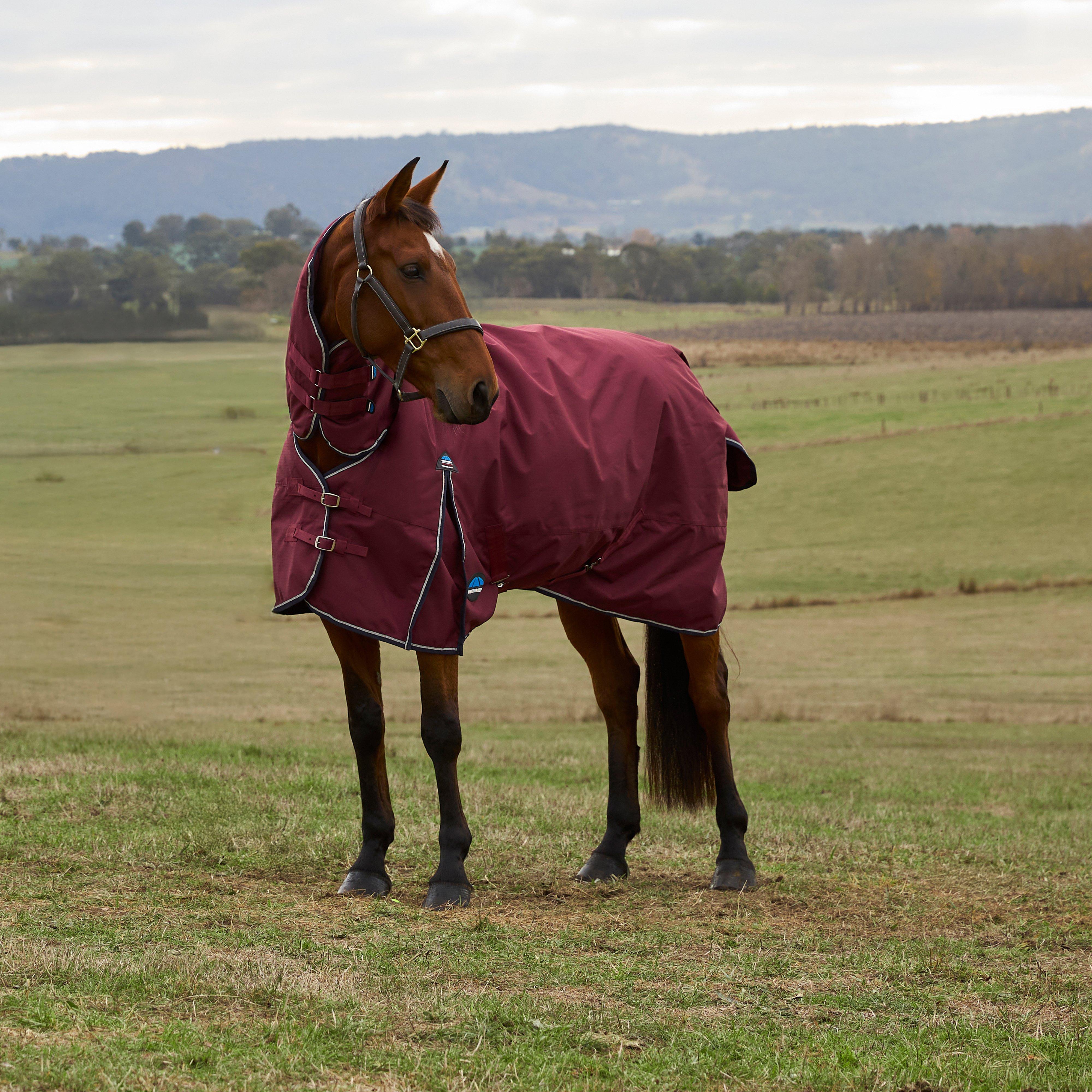 ComFiTec Prelim 0G Combo Neck Turnout Rug Burgundy