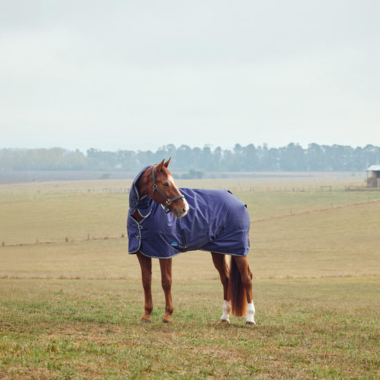 ComfiTec Tyro Standard Neck Turnout Rug 50g