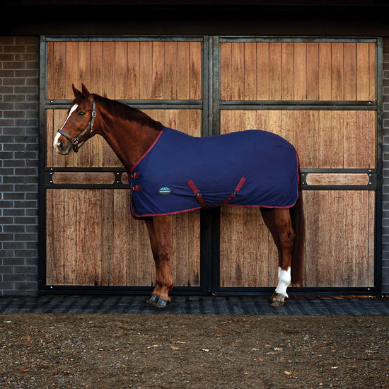 Cotton Sheet Standard Neck Navy/Burgundy