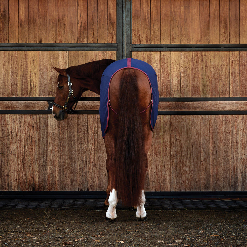 Cotton Sheet Standard Neck Navy/Burgundy