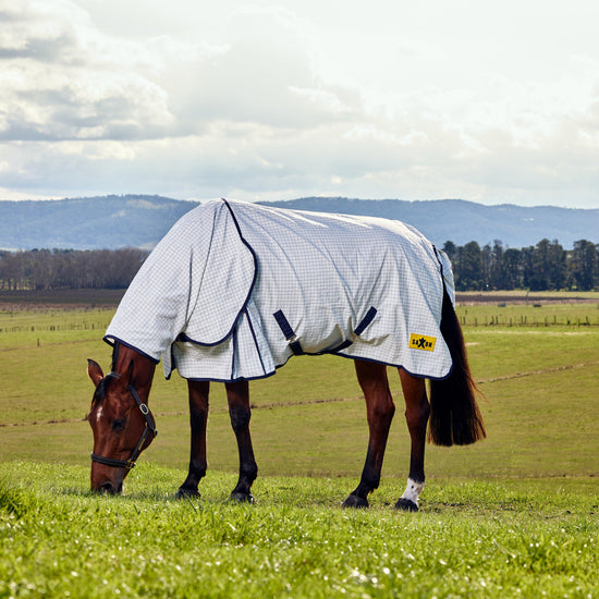 Kool Coat Classic Combo