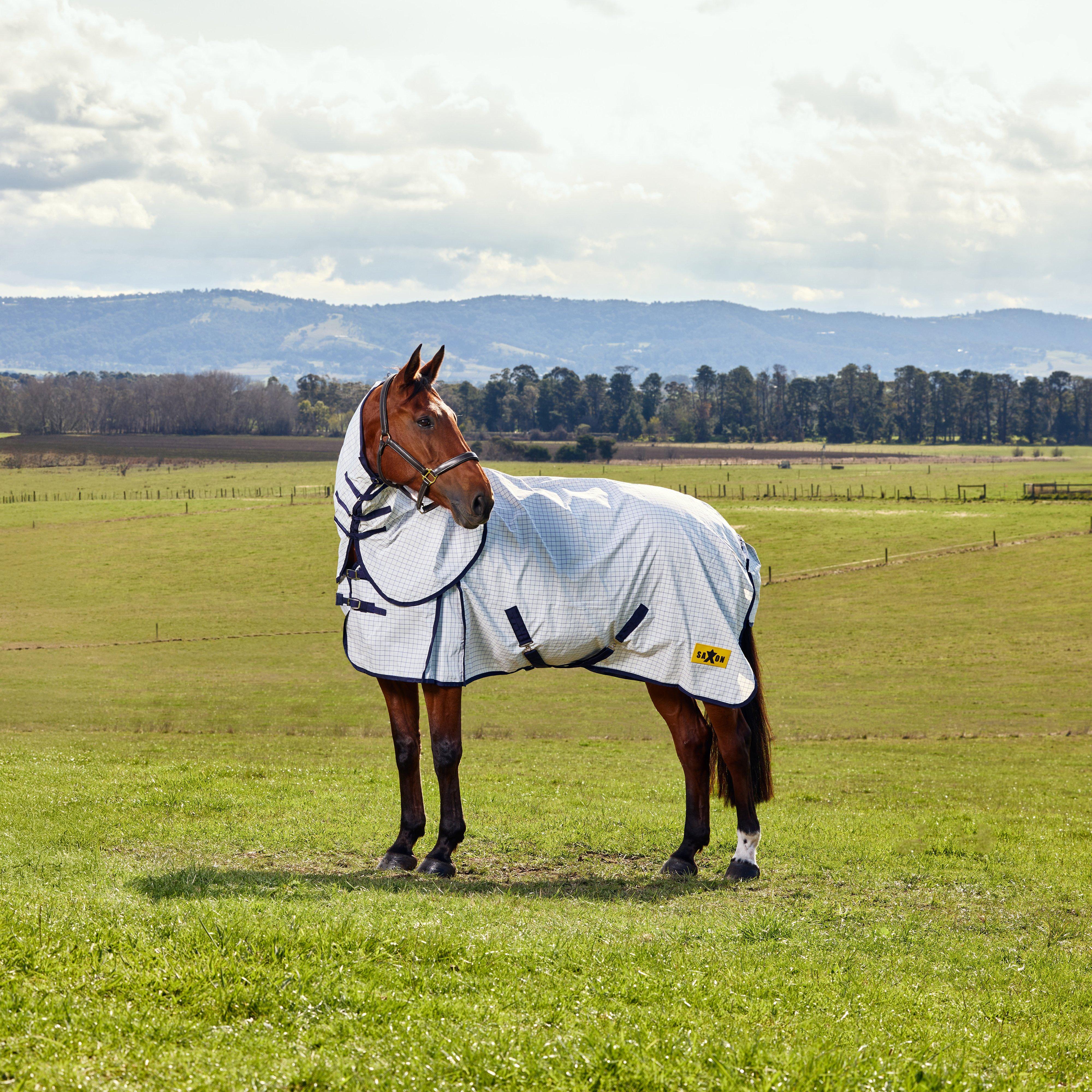Kool Coat Classic Combo