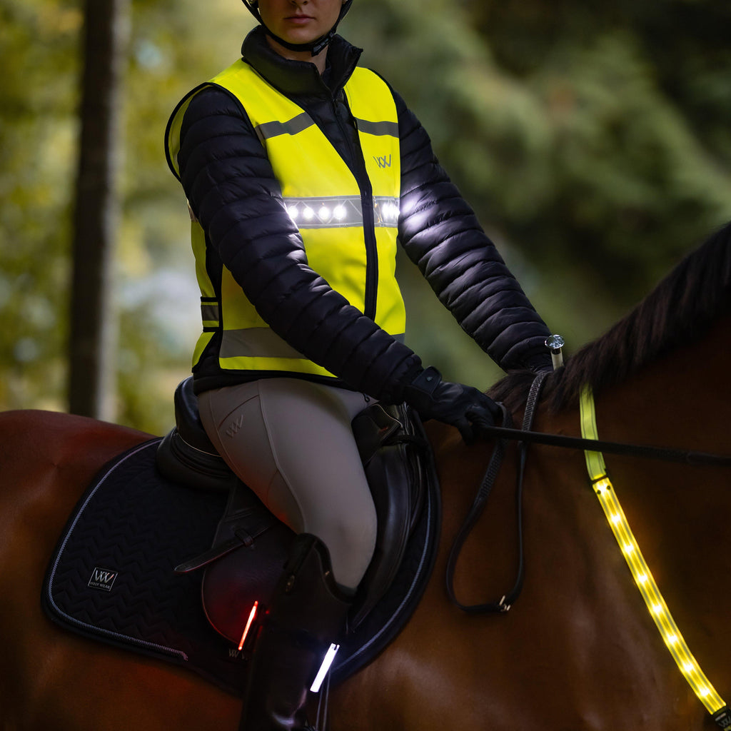 3-in-1 Rider Safety Lights