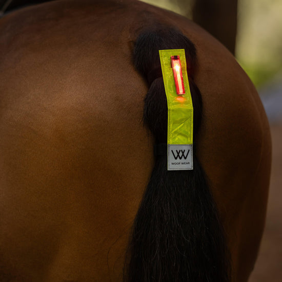 Hi Vis LED Tail Light
