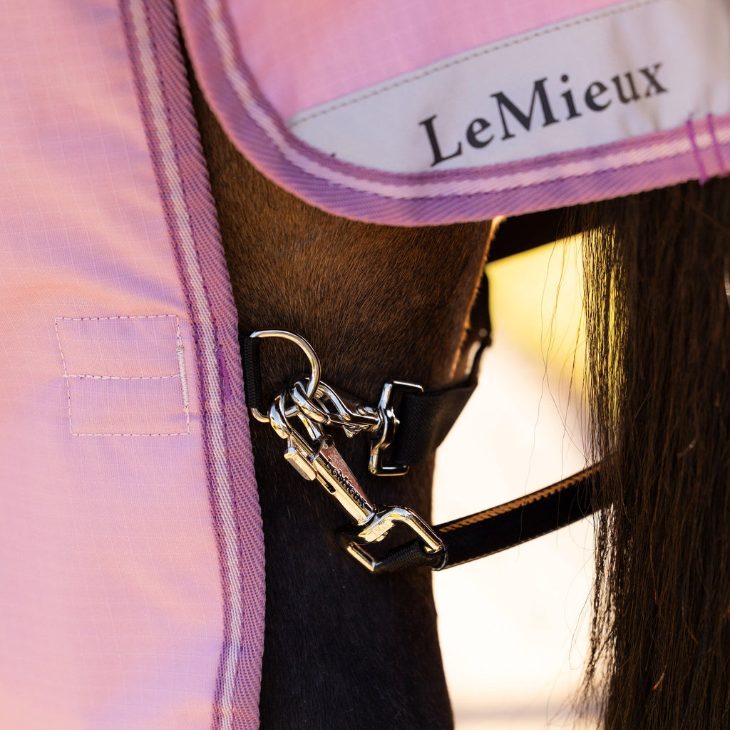 Arika Ripstop Turnout Rug 0g Fondant