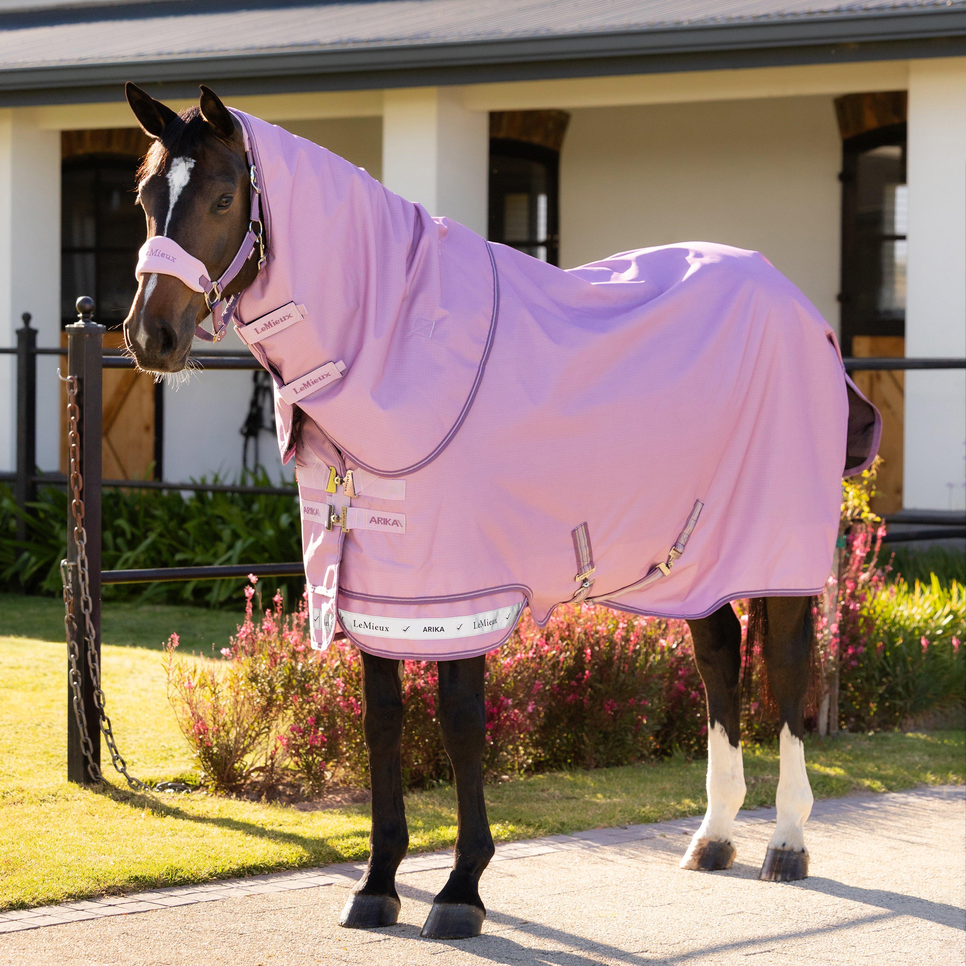 Arika Ripstop Turnout Rug 0g Fondant