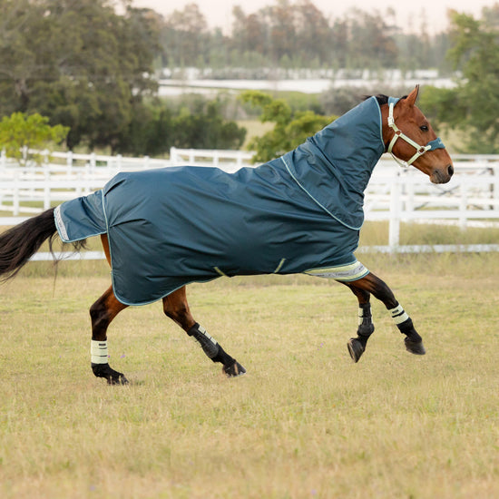 Arika Ripstop 50g Turnout Rug Jungle